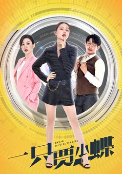 一只贾小蝶封面图
