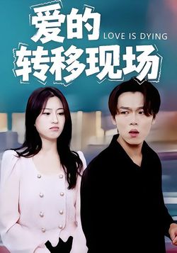 爱的转移现场封面图
