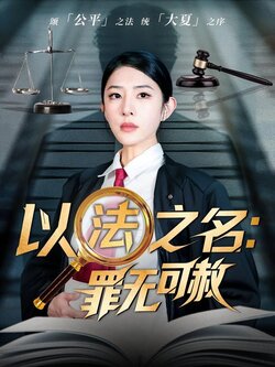 以法之名：罪无可赦封面图