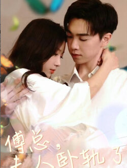 傅总夫人卧轨了封面图