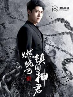 燃烧吧，镇国神君封面图