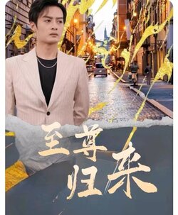 至尊归来漠北王封面图