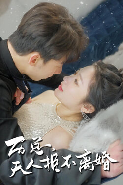 历总，夫人拒不离婚封面图