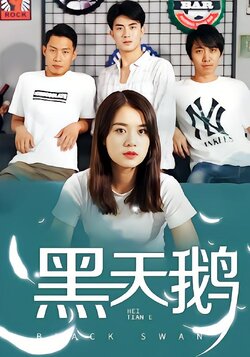 黑天鹅封面图