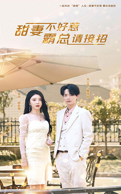 甜妻不好惹，霸总请接招封面图