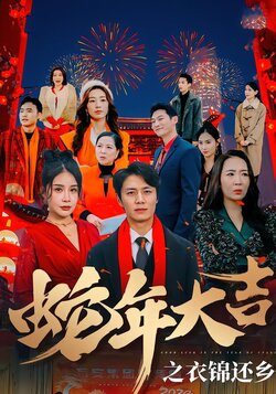 蛇年大吉之衣锦还乡封面图