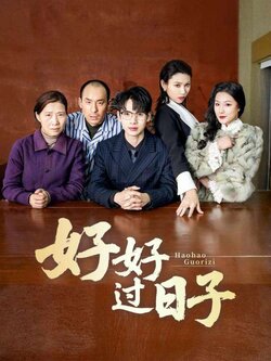 好好过日子封面图