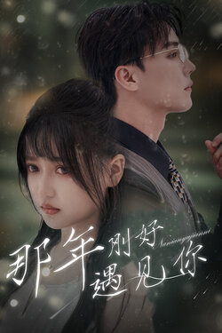 那年刚好遇见你封面图