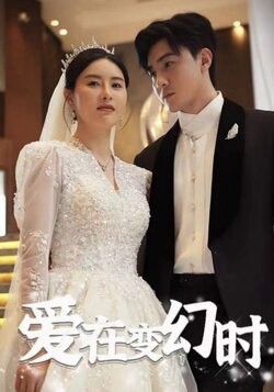 爱在变幻时封面图