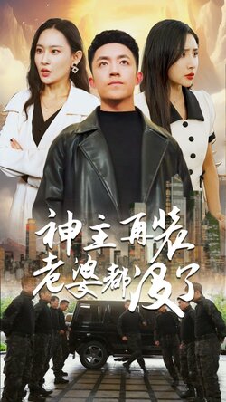 神主，在装老婆都没了封面图