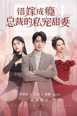 错嫁成瘾：总裁的私宠甜妻封面图