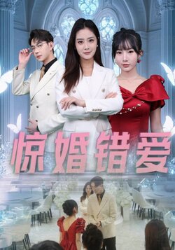惊婚错爱封面图