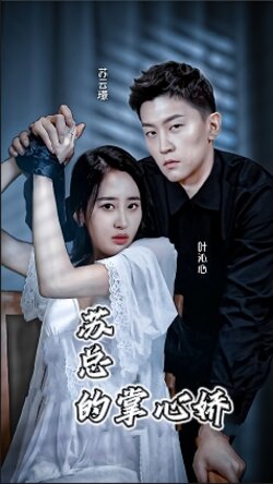 苏总的掌心骄封面图