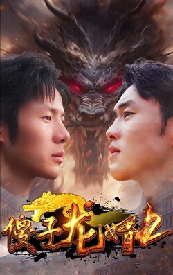 傻子龙婿2封面图