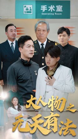 .新大人物之无天有法封面图