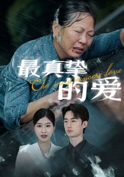 最真挚的爱封面图