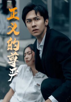 正义的尊严封面图