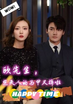 欧先生，您夫人的马甲又掉了封面图