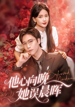 他心向晚她误晨晖封面图