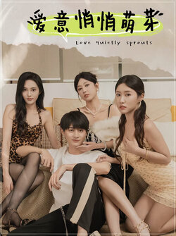 爱意悄悄萌芽封面图