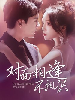 对面相逢不相识封面图