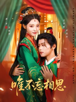 唯不忘相思封面图