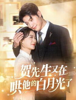 贺先生又在哄他的白月光了封面图