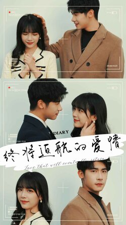 终将返航的爱情封面图