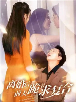 离婚当天，前夫跪求我复合封面图