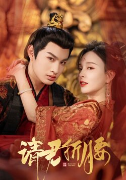 请君折，腰封面图