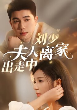 刘少，夫人离家出走中封面图