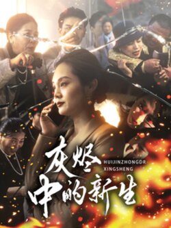 灰烬中的新生封面图