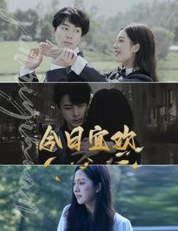 今日宜欢封面图