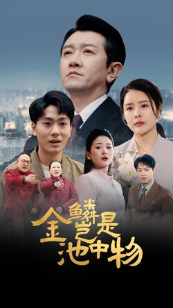 金L岂是C中w封面图