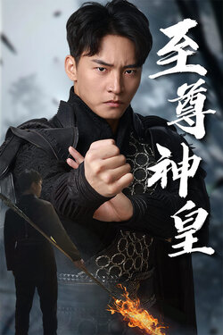 新至尊神皇封面图