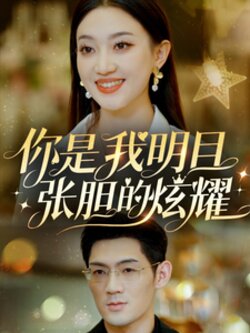 你是我明目张胆的炫耀封面图