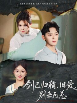 剑已归鞘旧爱别来无恙封面图