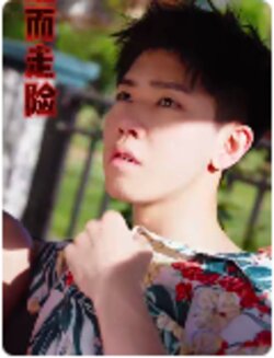 铤而走险$步步高升$幸福人生封面图