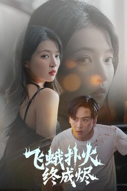 飞蛾扑火终成烬封面图