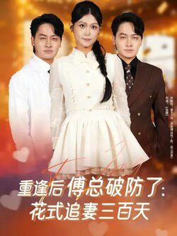 重逢后傅总破防了：花式追妻三百天封面图