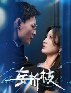 妄折枝 未删减版封面图