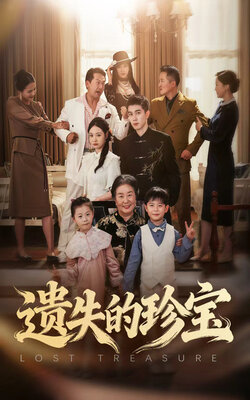 遗失的珍宝封面图