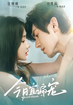 今日宜偏宠封面图