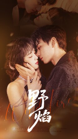 野焰 未删减版封面图