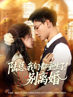陆总我们都重生了！别离婚封面图