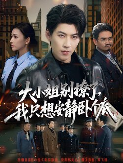 大小姐别撩了，我只想安静卧个底封面图