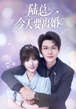 陆总今天要离婚封面图