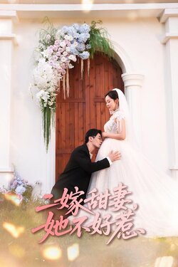 二嫁甜妻，她不好惹封面图