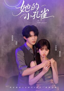 她的小孔雀封面图