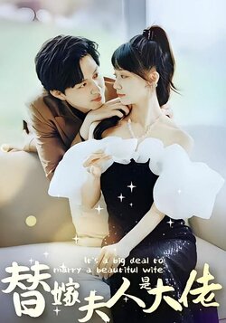 佳人心向暖封面图